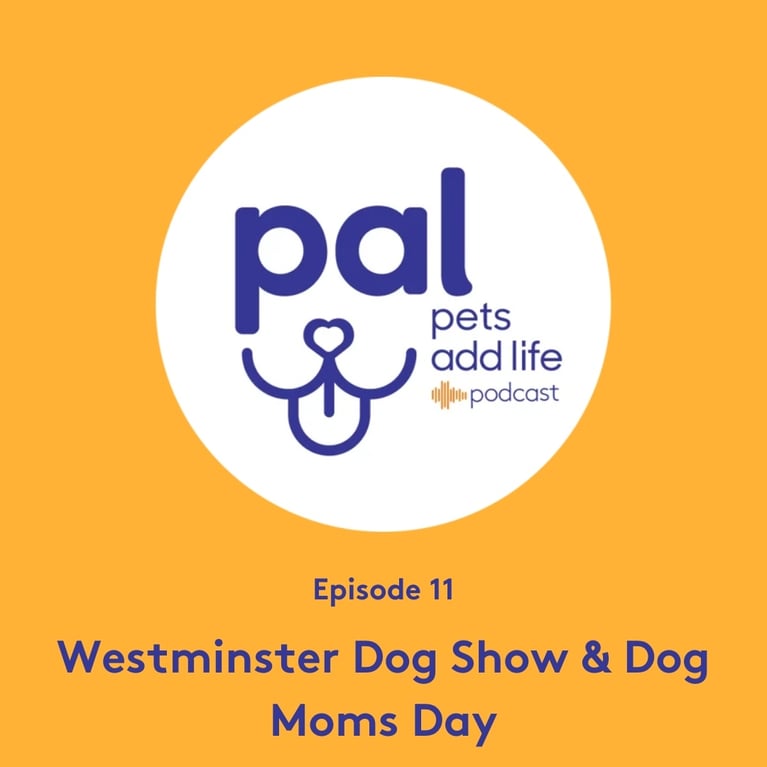 Episode 11: The Inside Scoop on the Westminster Dog Show & Celebrating Dog Mom’s Day