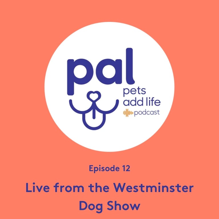 Episode 12: Live from the Westminster Dog Show