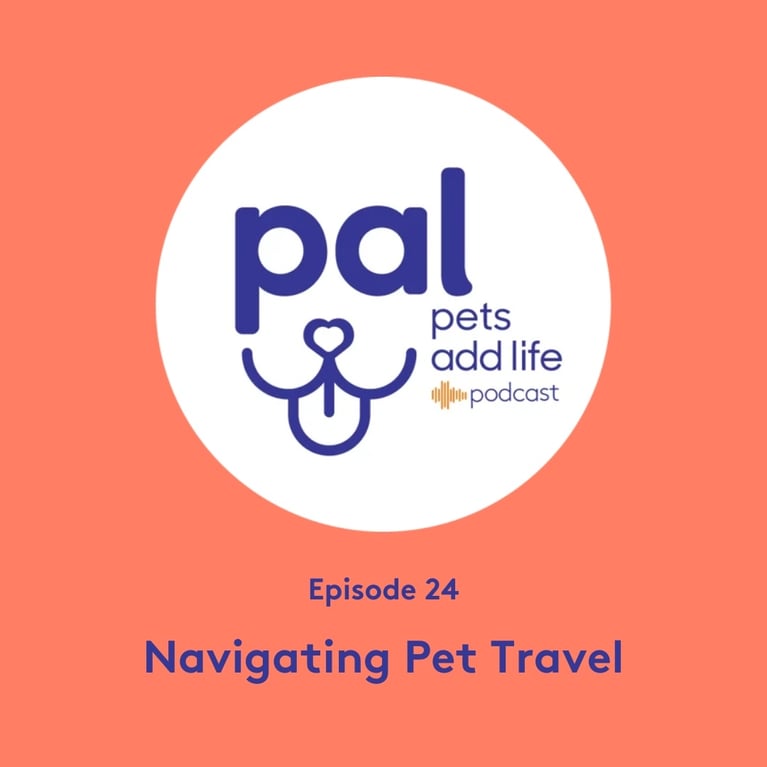 24. Navigating Pet Travel