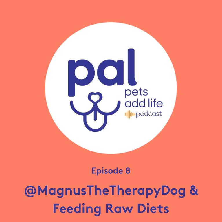 Episode 8: Becoming a Therapy Animal Team with @MagnusTheTherapyDog & Transforming Raw Diets for Pets