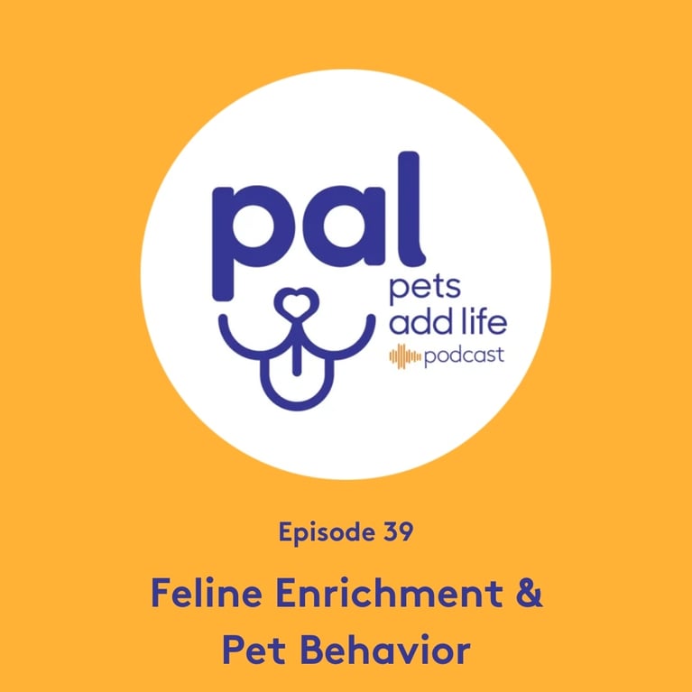 39. Enriching Feline Lives and Understanding Pet Behavior