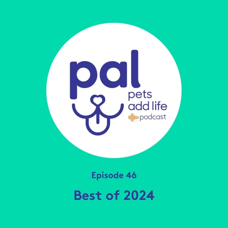 46. Best of 2024 – Celebrating the Moments That Made Us Smile