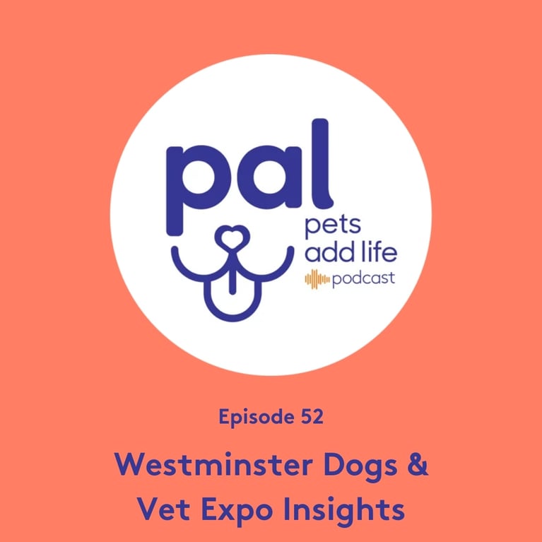 52. Westminster Dogs & Vet Expo Insights