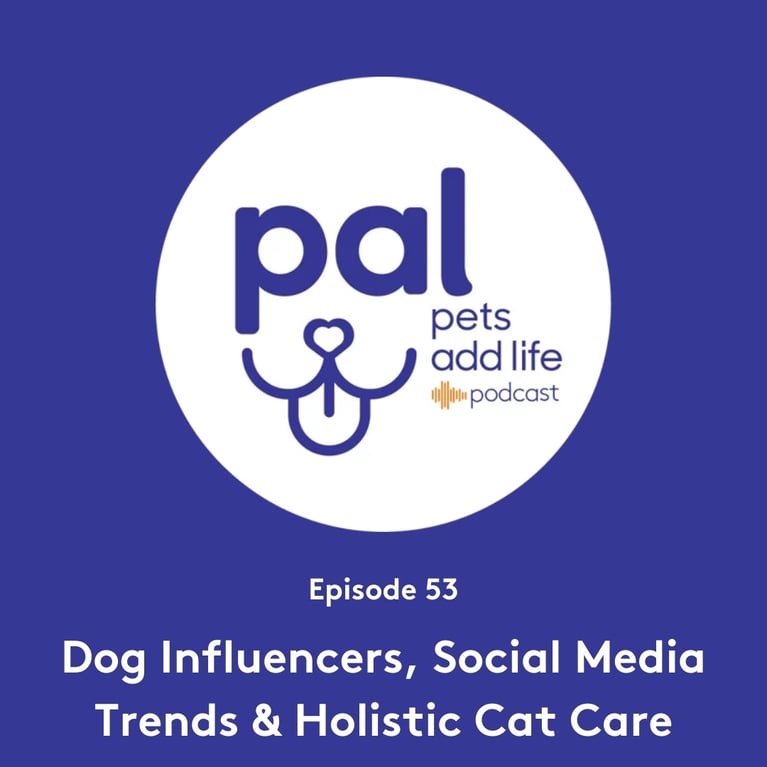 53. Dog Influencers, Social Media Trends & Holistic Cat Care