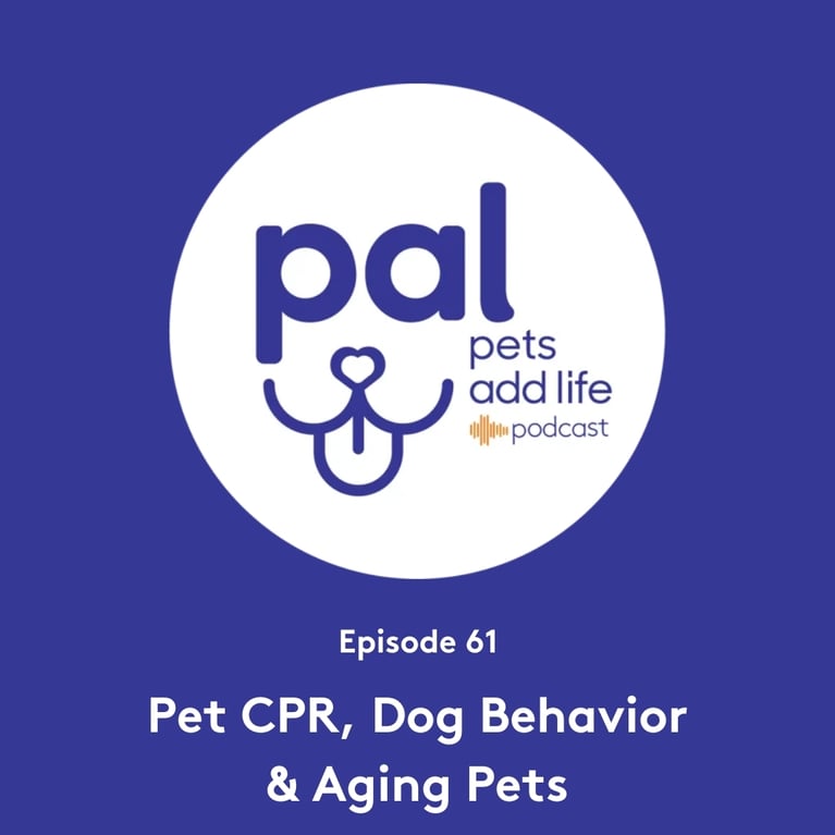 61. Pet CPR, Understanding Dog Behavior & Caring for Aging Pets