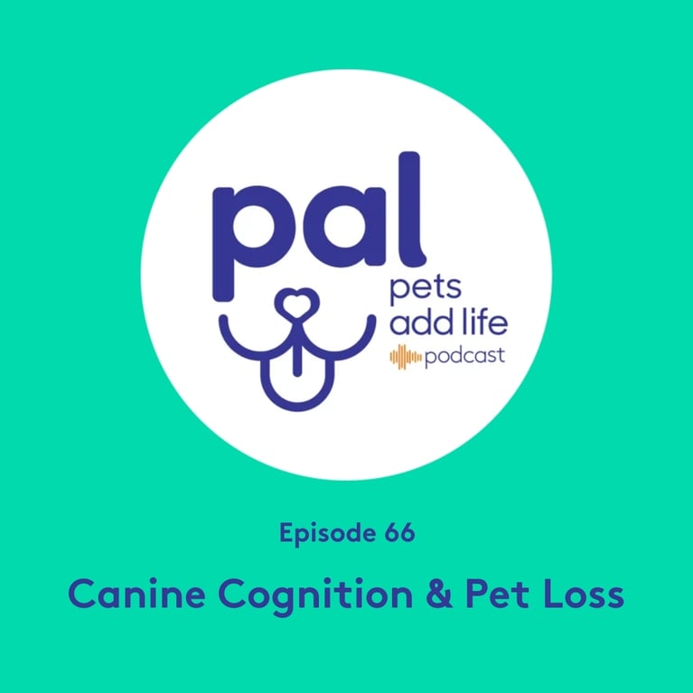 66. Canine Cognition and Healing After Pet Loss