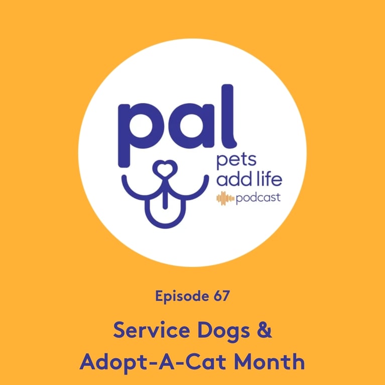 67. Service Dogs, Disability Advocacy & Adopt-A-Cat Month