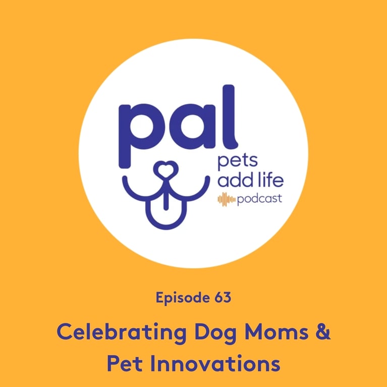 63. Celebrating Dog Moms & Pet Care Innovations