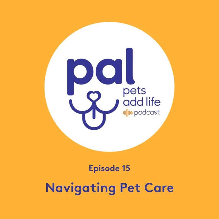 Episode 15: Navigating Pet Care: Daycare Tips and Veterinary Insights