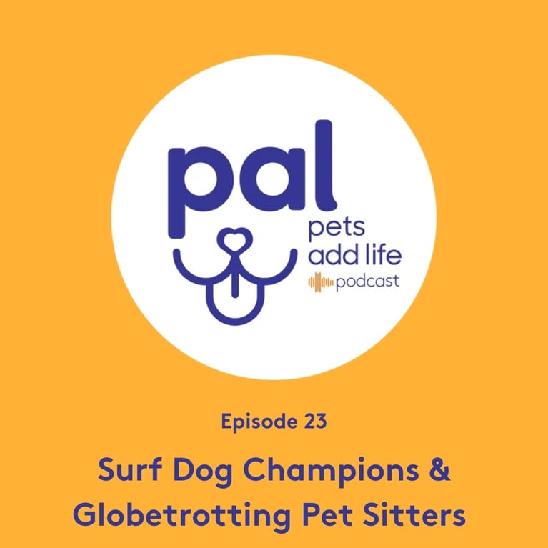 Episode 23: Surf Dog Champions & Globetrotting Pet Sitters