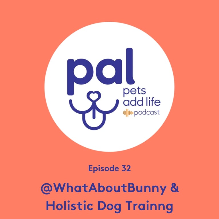 32. @WhatAboutBunny the Talking Dog and Holistic Dog Training