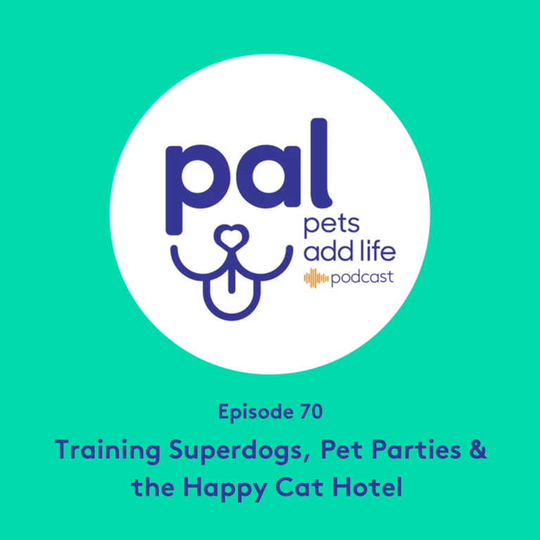 70. Training Superdogs, Pet Parties & the Happy Cat Hotel