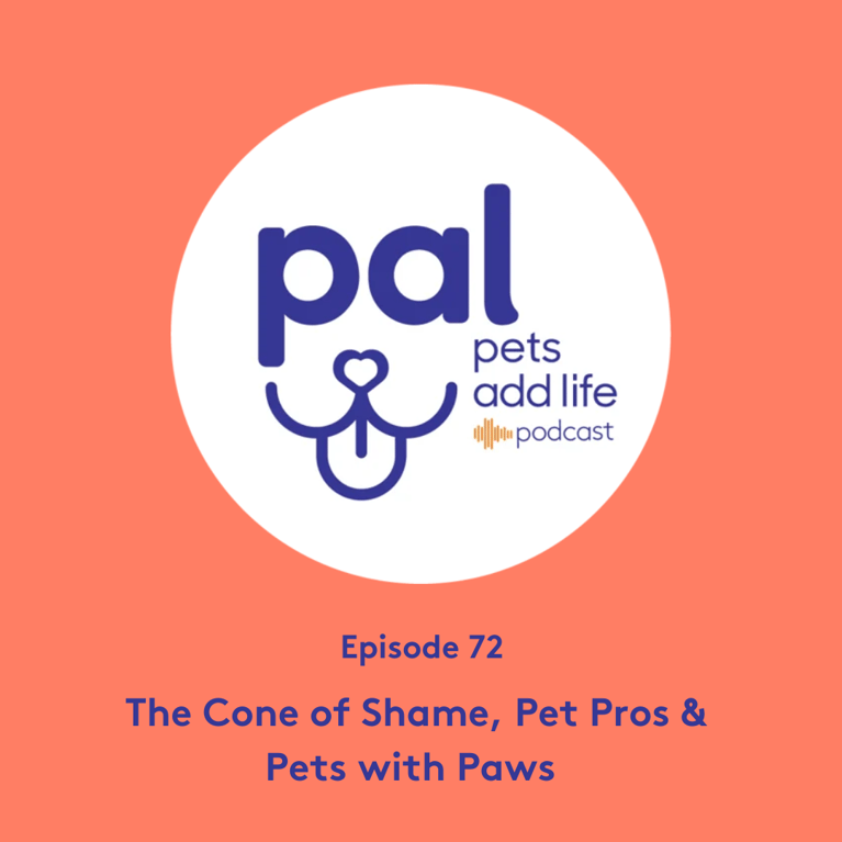 72. The Cone of Shame, Pet Pros & Pets with Paws