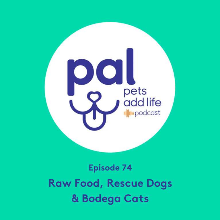 74. Raw Food, Rescue Dogs & Bodega Cats