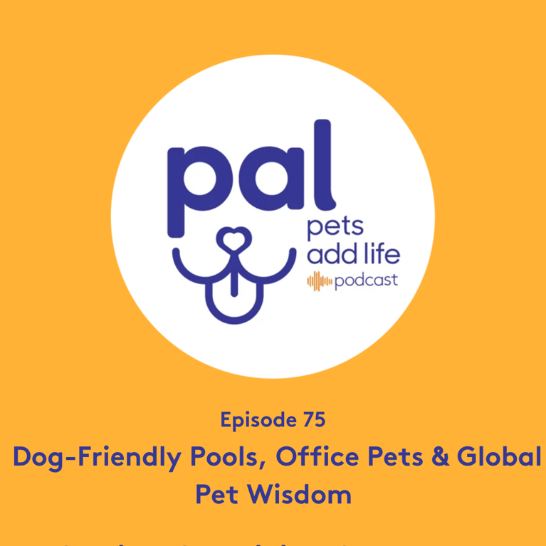 75. Dog-Friendly Pools, Office Pets & Global Pet Wisdom