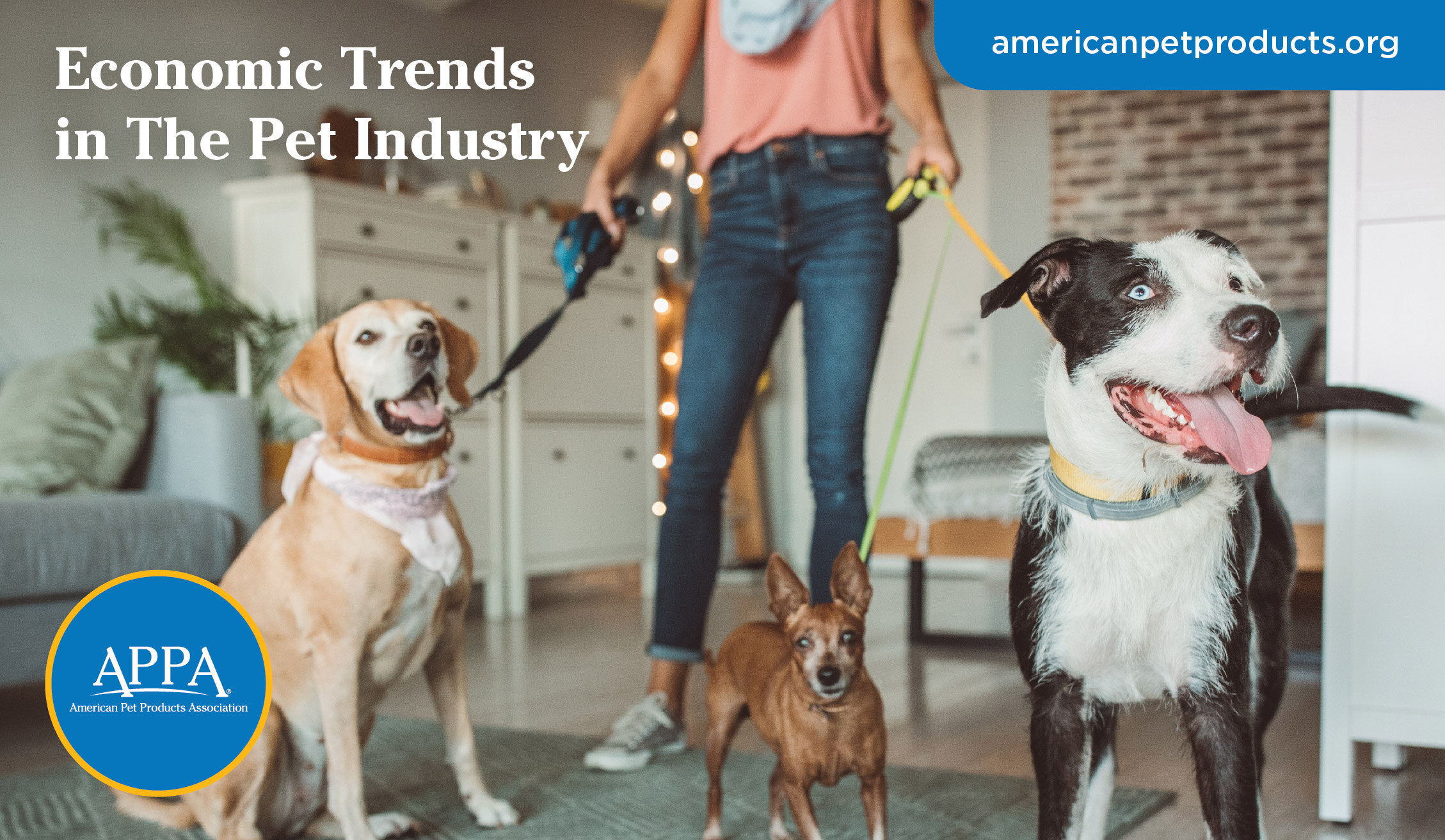 How to Use Surveys and Whitepapers in Pet Marketing